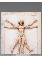 figma ウィトルウィウス的人体図 テーブル美術館