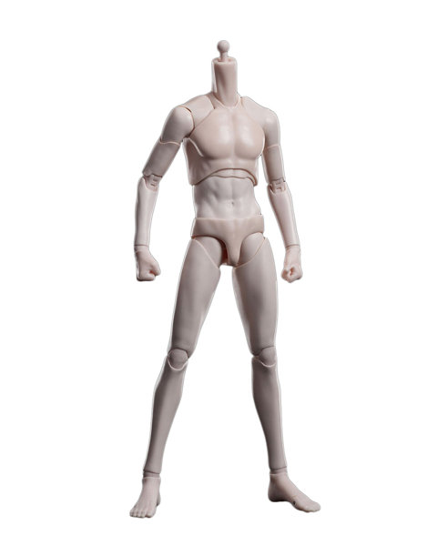 フュージョンファンタジー 1/6 アーティコイ 超可動スリム男性ボディ ワイドショルダー フェアスキン（色白）