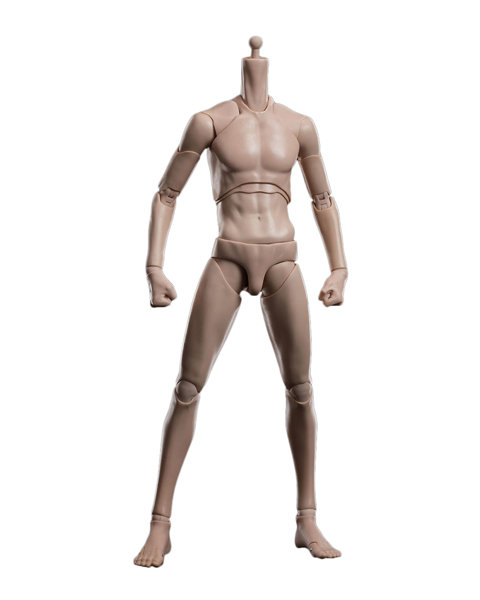 フュージョンファンタジー 1/6 アーティコイ 超可動スリム男性ボディ ワイドショルダー タンスキン（小麦肌）