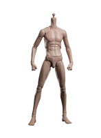 フュージョンファンタジー 1/6 アーティコイ 超可動スリム男性ボディ ワイドショルダー タンスキン（小麦肌）