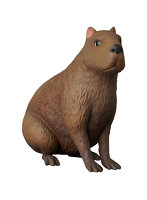 UDF FLOW Capybara