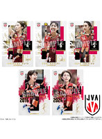 【BOX販売】JAPAN NATIONAL VOLLEYBALL TEAM-女子日本代表ver.- ツインウエハース 2026 （全32種） 1BOX:20個入
