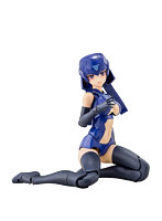 B1R-L シャーシキット スキンカラーD