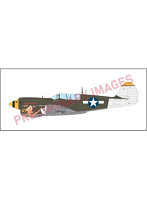 EDU84210 1/48 P-40N ウォーホーク ウィークエンドエディション