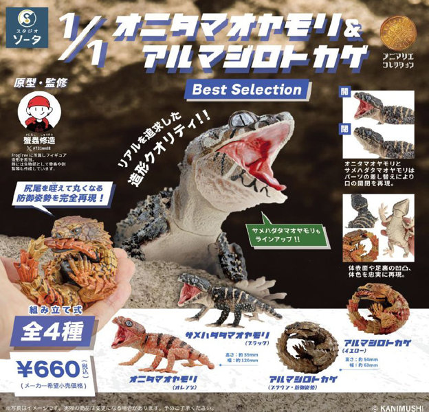 オニタマオヤモリ＆アルマジロトカゲ Best Selection （全4種） 1BOX:4個入