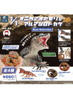 【BOX販売】オニタマオヤモリ＆アルマジロトカゲ Best Selection （全4種） 1BOX:4個入