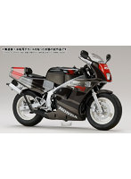1/12 Honda NSR50 ’89 マックスグレーメタリック x グラニットブルーメタリック