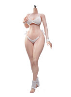 TBリーグ 1/6 スーパーフレキシブル 女性シームレスボディ ナローショルダー＆カーヴィーヒップ ヘッドなし/ラージバスト/ペールスキン 001