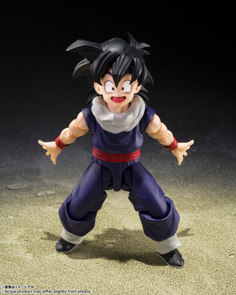 S.H.Figuarts 孫悟飯〈Z戦士〉（初回限定〈Z戦士〉集結台座A付属版） ドラゴンボール