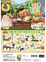 【BOX販売】おいしい野菜の育てかた