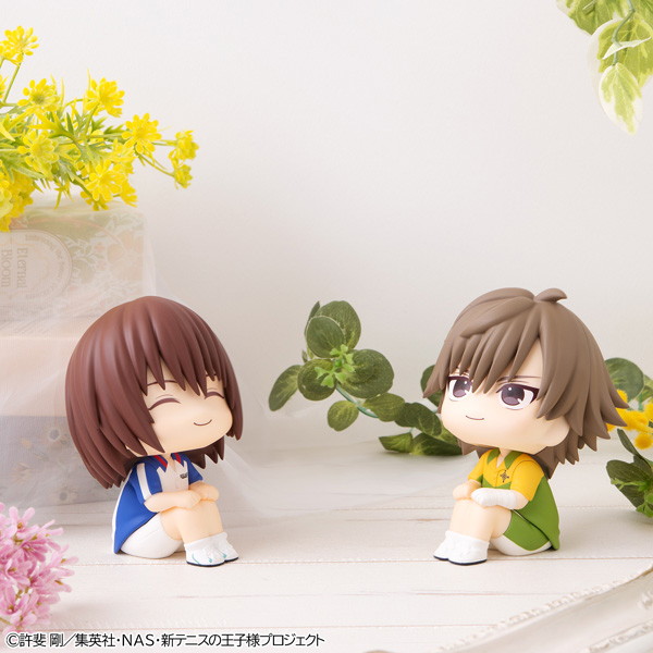 るかっぷ 新テニスの王子様 白石蔵ノ介