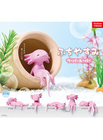 ふちやすみ ウーパールーパー （全5種） 1BOX:10個入