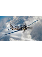 フォッケウルフ Fw190A-6