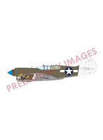 1/48 プロフィパック P-40K ショートテイル