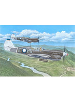 SH72484 1/72 カーチス・キティホークMk.IV戦闘機・英豪軍