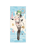 シノビマスター 閃乱カグラ NEW LINK 描き下ろし特大タペストリー 日影/ミルキーメイド