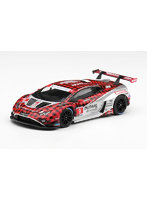 ランボルギーニ ウラカン GT3 EVO2 IMSA WeatherTech GTD Pro 2025 ＃9 Pfaff Motorsports