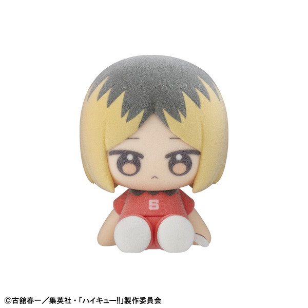 ぬいっぽ ハイキュ―！！