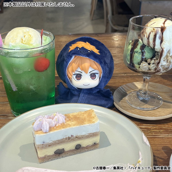 【再販】るかっぷ ポンチョ ハイキュー！！ ヒナガラス