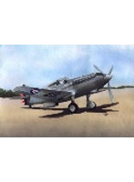 LF7259 1/72 カーチス XP-40