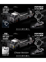 PANDEM FUSO 300 FLATBED TRANSPORTER SILVER CHROME