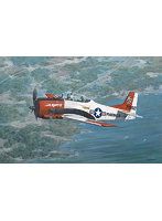 RE48436 1/48 米・ノースアメリカンT28Bトロージャン複座レシプロ練習機