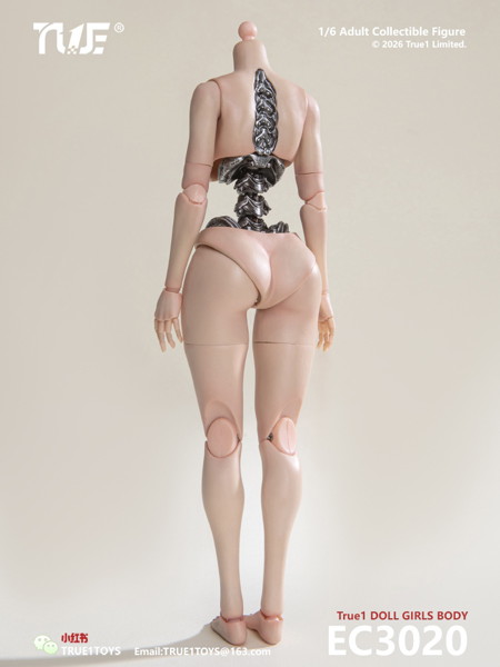1/6 セミメカニカル 女性素体 白肌 ミディアムバスト