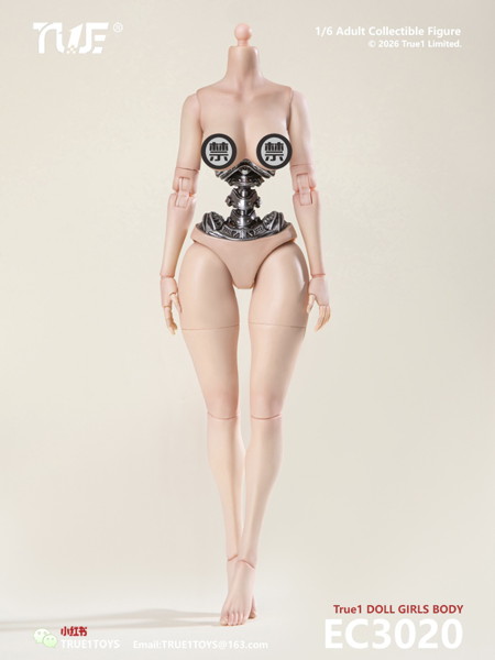 1/6 セミメカニカル 女性素体 白肌 ラージバスト