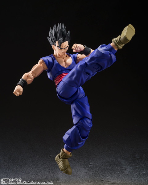 S.H.Figuarts アルティメット悟飯 SUPER HERO（再販版） ドラゴンボール