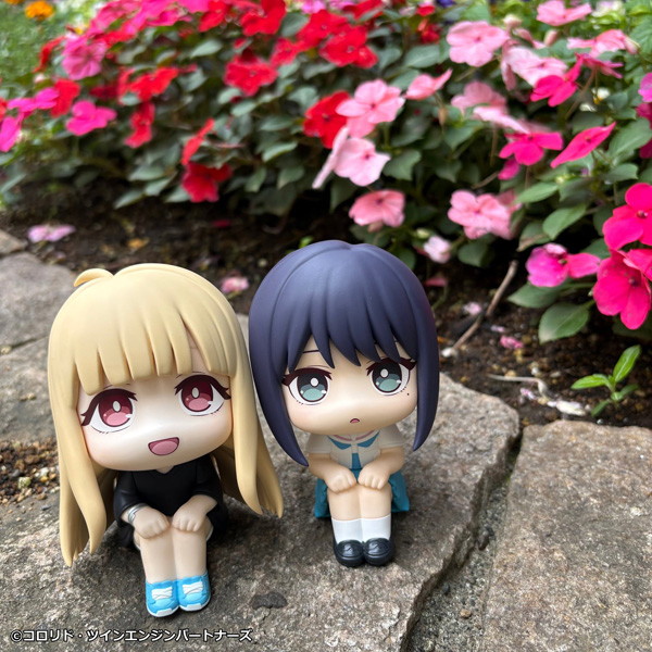 るかっぷ 超かぐや姫！ 酒寄彩葉