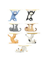 縁の下のネコ2 （全6種＋1） 1BOX:6個入