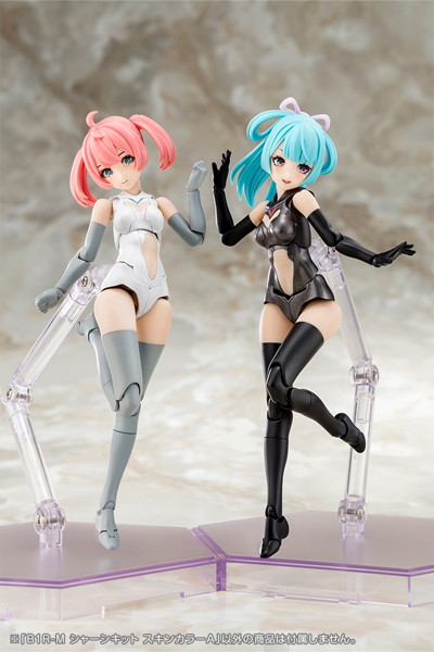 【2027年5月発売分】B1R-M シャーシキット スキンカラーA