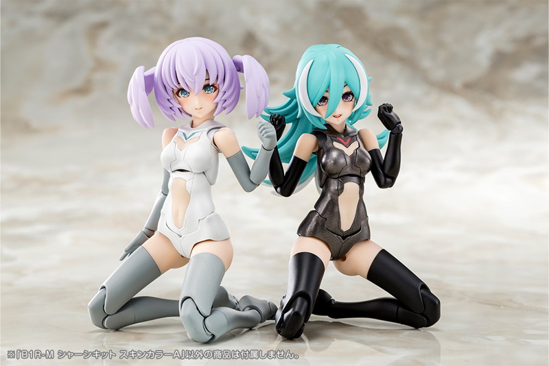 【2027年5月発売分】B1R-M シャーシキット スキンカラーA