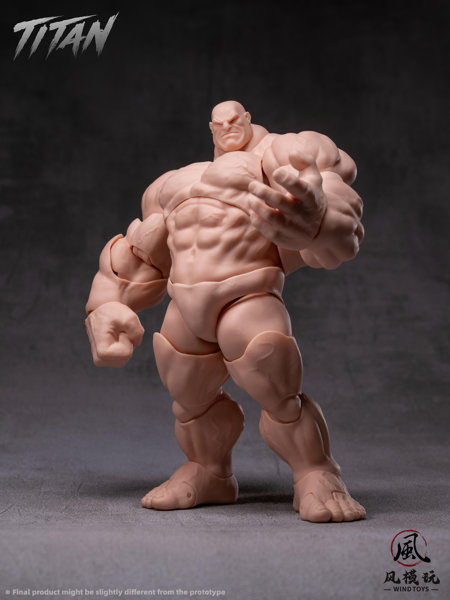 WIND TOYS 1/12スケール 可動フィギュア素体 タイタン FMW009 ノーマル