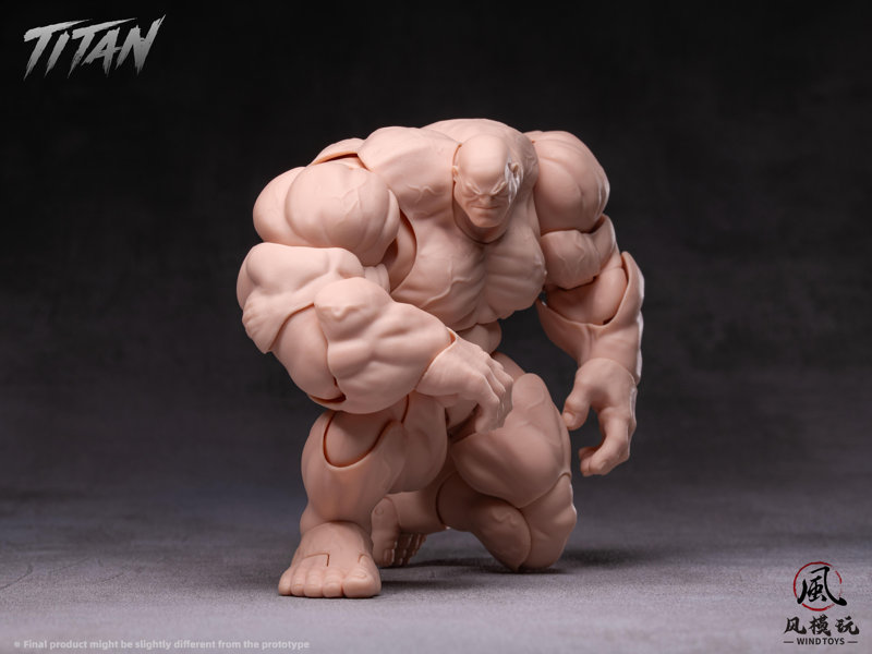 WIND TOYS 1/12スケール 可動フィギュア素体 タイタン FMW009 ノーマル
