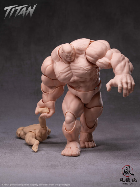 WIND TOYS 1/12スケール 可動フィギュア素体 タイタン FMW009 ノーマル