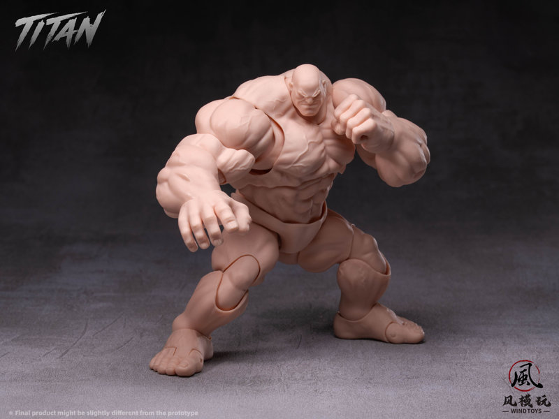 WIND TOYS 1/12スケール 可動フィギュア素体 タイタン FMW009 ノーマル