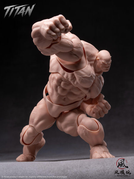 WIND TOYS 1/12スケール 可動フィギュア素体 タイタン FMW009 ノーマル