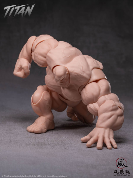 WIND TOYS 1/12スケール 可動フィギュア素体 タイタン FMW009 ノーマル