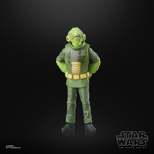 スター・ウォーズ ブラックシリーズ 『スター・ウォーズ』 モン・カラマリ ハロウィンエディション