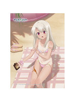 劇場版Fate/kaleid liner プリズマ☆イリヤ Licht 名前の無い少女 描き下ろしB2タペストリー イリヤ/日焼け Wスエード