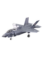 アメリカ海兵隊 F-35B ライトニングII 護衛艦 いずも/かが 着艦機