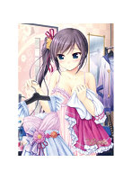 千の刃濤、桃花染の皇姫 B2タペストリー 稲生滸/着替え Wスエード