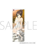 涼宮ハルヒの憂鬱 布ポスター C