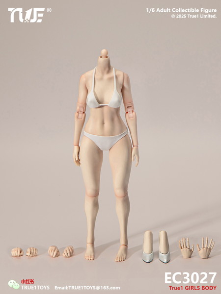 トゥルーワントイズ 1/6 ナローショルダー フィメールボディ ミディアムバスト ホワイトスキン