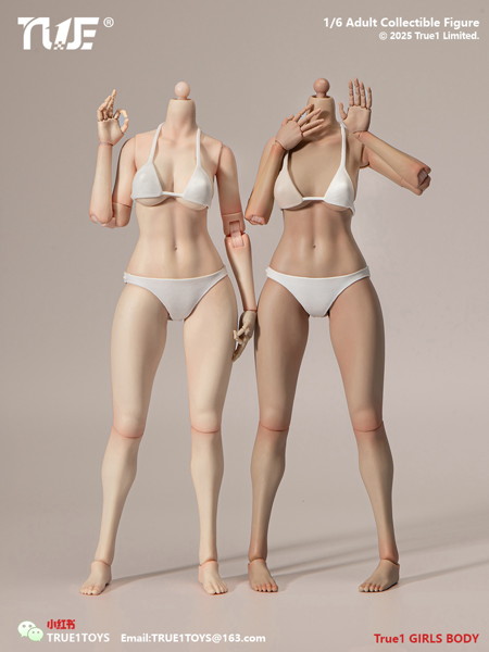 トゥルーワントイズ 1/6 ナローショルダー フィメールボディ ミディアムバスト ライトウィートスキン