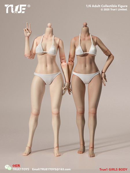トゥルーワントイズ 1/6 ナローショルダー フィメールボディ ミディアムバスト ライトウィートスキン