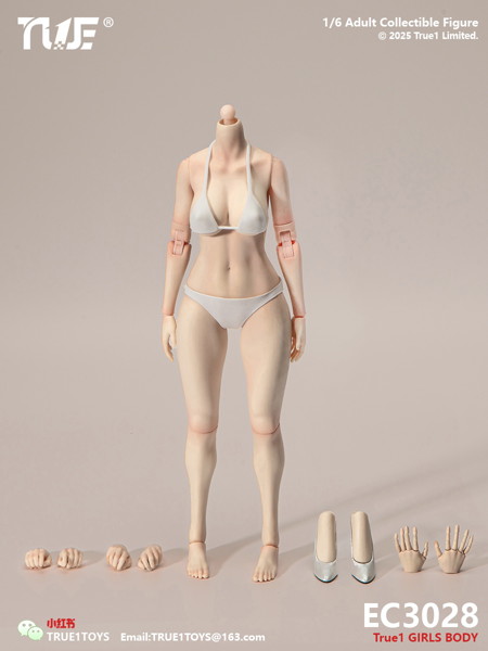 トゥルーワントイズ 1/6 ナローショルダー フィメールボディ ラージバスト ホワイトスキン