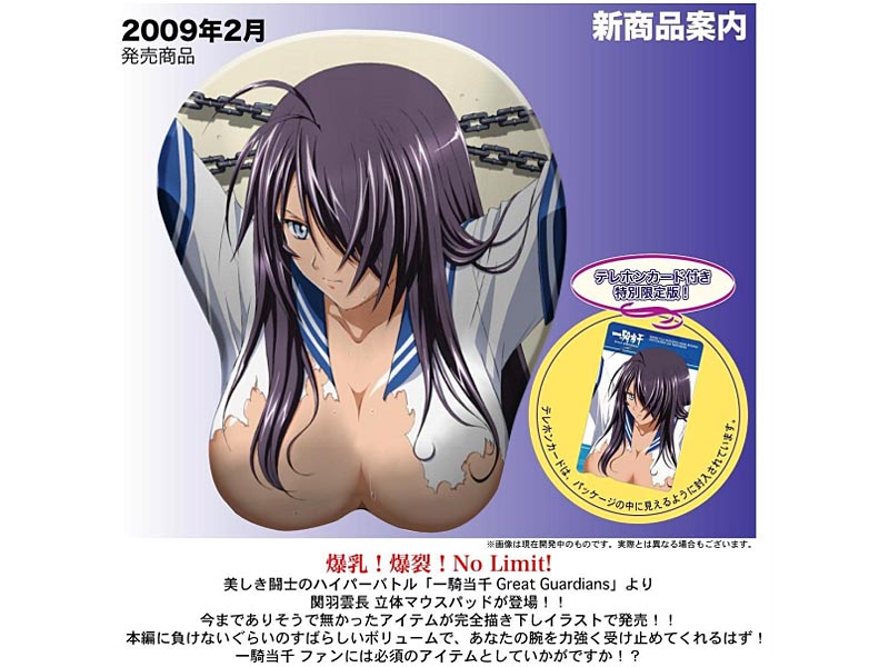 一騎当千 Great Guardians 関羽雲長 立体マウスパッド 限定版（テレカ付）