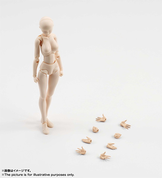 S.H.Figuarts ボディちゃん（Pale orange Color Ver.）